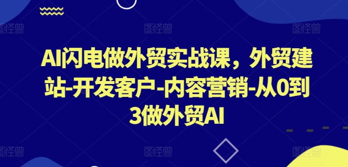 AI闪电做外贸实战课，​外贸建站-开发客户-内容营销-从0到3做外贸AI(更新)-369资源站