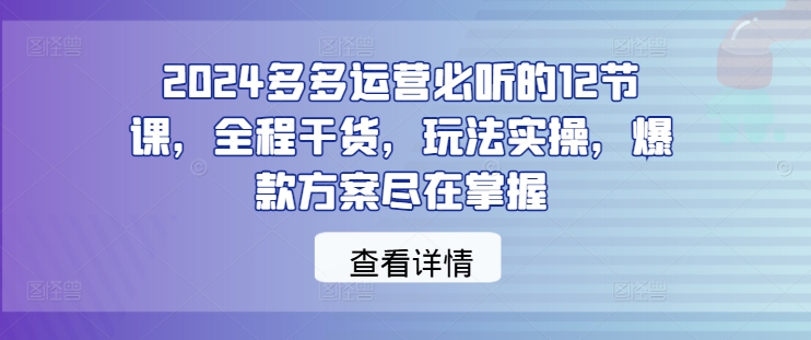 2024多多运营必听的12节课，全程干货，玩法实操，爆款方案尽在掌握-369资源站