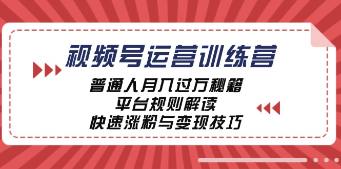 视频号运营训练营：普通人月入过万秘籍，平台规则解读，快速涨粉与变现-369资源站