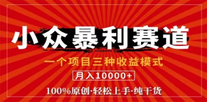 视频号最新爆火赛道，三种可收益模式，0粉新号条条原创条条热门 日入1000+-369资源站