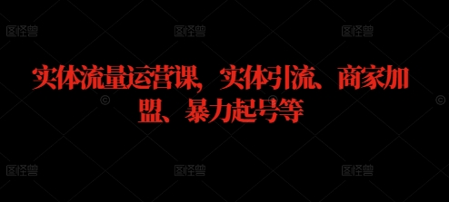 实体流量运营课，实体引流、商家加盟、暴力起号等-369资源站