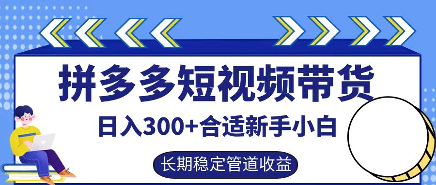 拼多多短视频带货日入300+，实操账户展示看就能学会-369资源站