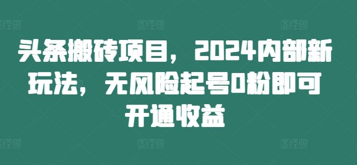 头条搬砖项目，2024内部新玩法，无风险起号0粉即可开通收益-369资源站