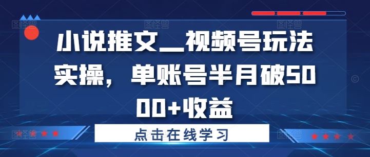 小说推文—视频号玩法实操，单账号半月破5000+收益-369资源站